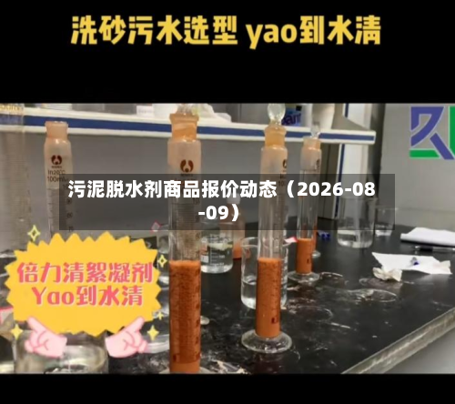 污泥脱水剂商品报价动态（2026-08-09）-第1张图片