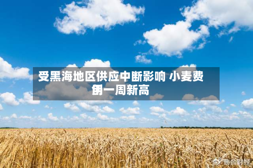 受黑海地区供应中断影响 小麦费用创一周新高-第2张图片