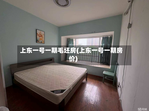 上东一号一期毛坯房(上东一号一期房价)