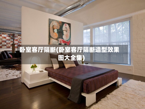卧室客厅隔断(卧室客厅隔断造型效果图大全集)-第2张图片