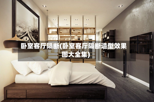 卧室客厅隔断(卧室客厅隔断造型效果图大全集)