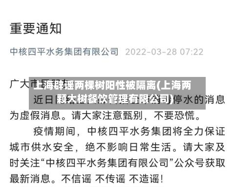 上海辟谣两棵树阳性被隔离(上海两颗大树餐饮管理有限公司)