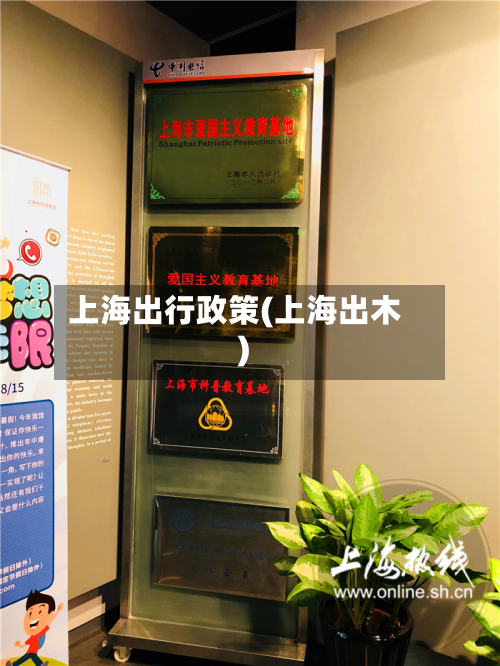 上海出行政策(上海出木)