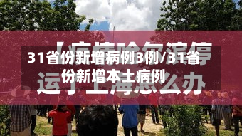 31省份新增病例3例/31省份新增本土病例-第2张图片