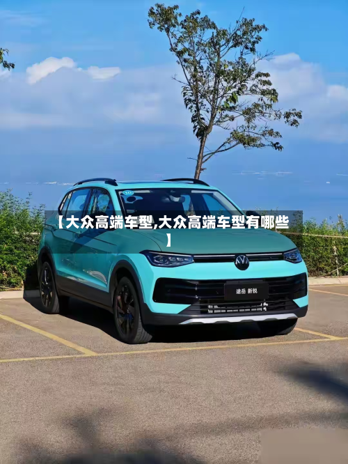 【大众高端车型,大众高端车型有哪些】-第2张图片