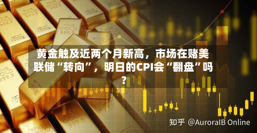 黄金触及近两个月新高，市场在赌美联储“转向”，明日的CPI会“翻盘	”吗？-第2张图片