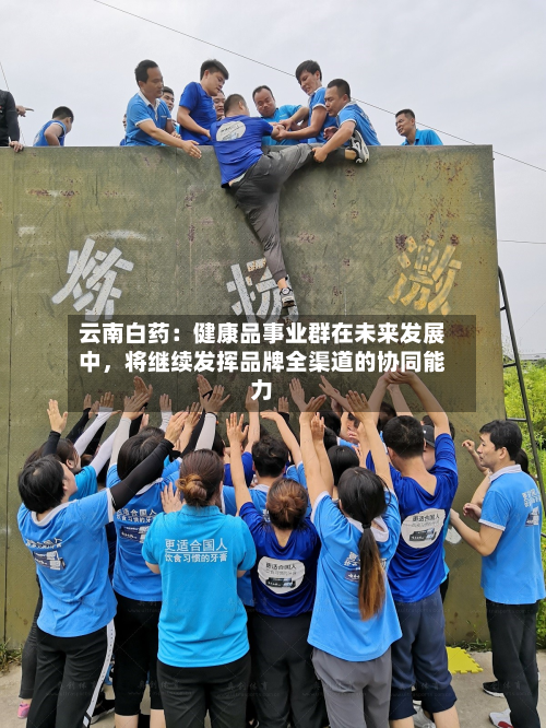 云南白药：健康品事业群在未来发展中	，将继续发挥品牌全渠道的协同能力-第1张图片