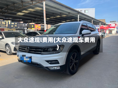 大众途观l费用(大众途观车费用)