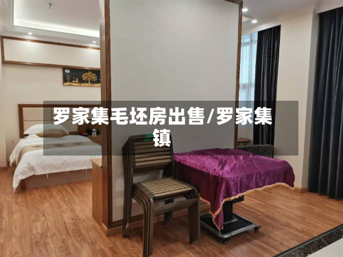 罗家集毛坯房出售/罗家集镇