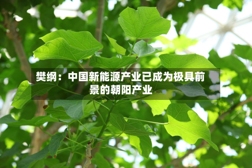樊纲：中国新能源产业已成为极具前景的朝阳产业-第2张图片