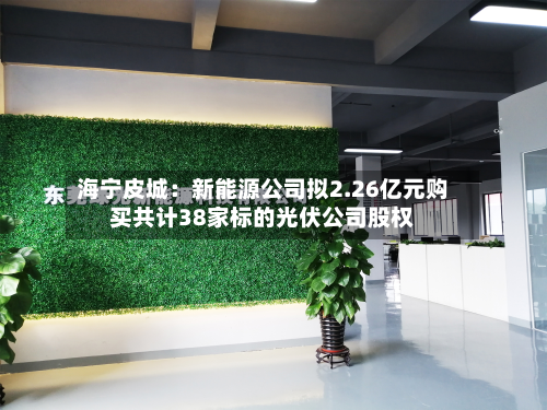 海宁皮城:新能源公司拟2.26亿元购买共计38家标的光伏公司股权-第3张图片