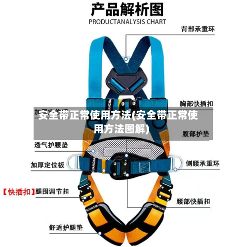 安全带正常使用方法(安全带正常使用方法图解)-第2张图片