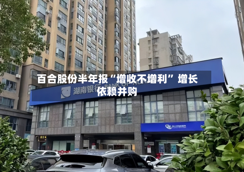 百合股份半年报“增收不增利” 增长依赖并购-第2张图片