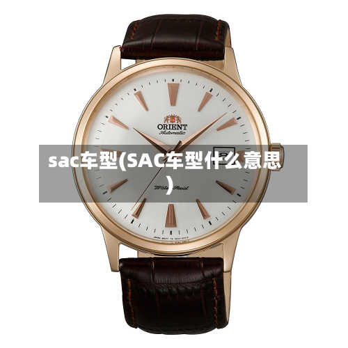 sac车型(SAC车型什么意思)-第2张图片
