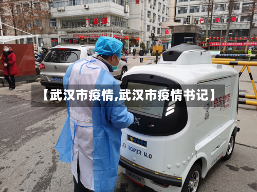 【武汉市疫情,武汉市疫情书记】-第3张图片