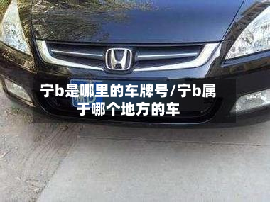 宁b是哪里的车牌号/宁b属于哪个地方的车-第2张图片