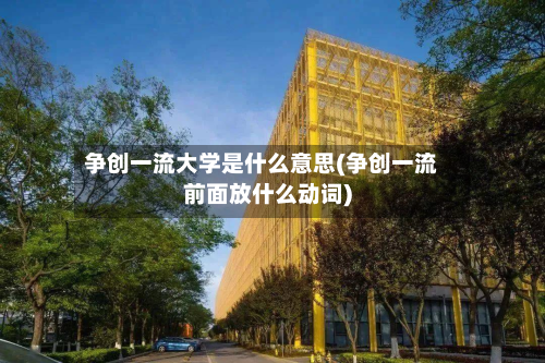 争创一流大学是什么意思(争创一流前面放什么动词)