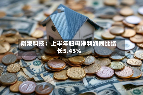 翔港科技：上半年归母净利润同比增长5.45%
