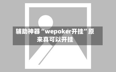 辅助神器“wepoker开挂”原来真可以开挂