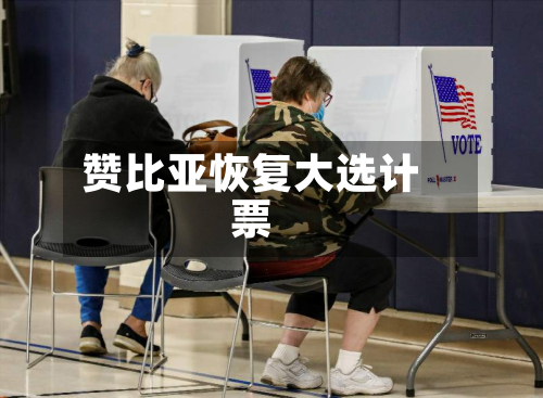 赞比亚恢复大选计票-第2张图片