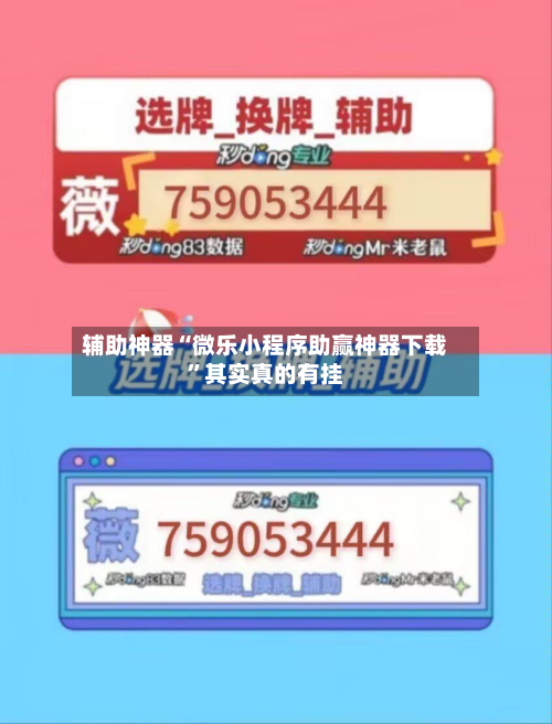 辅助神器“微乐小程序助赢神器下载”其实真的有挂-第3张图片