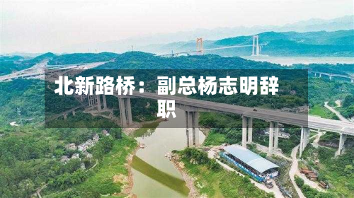 北新路桥：副总杨志明辞职-第2张图片