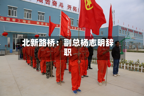 北新路桥：副总杨志明辞职