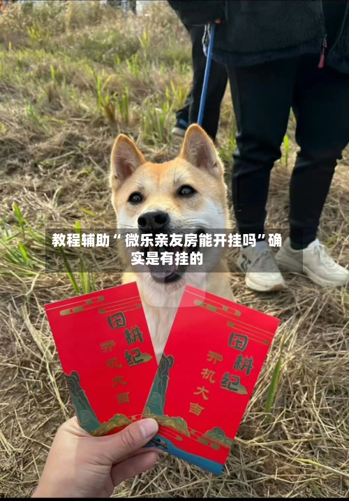 教程辅助“ 微乐亲友房能开挂吗	”确实是有挂的-第2张图片