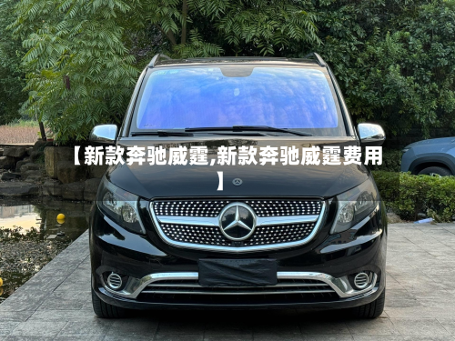 【新款奔驰威霆,新款奔驰威霆费用】-第2张图片