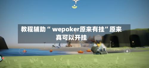教程辅助“ wepoker原来有挂”原来真可以开挂-第2张图片