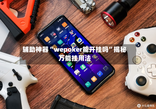 辅助神器“wepoker能开挂吗”揭秘万能挂用法-第2张图片