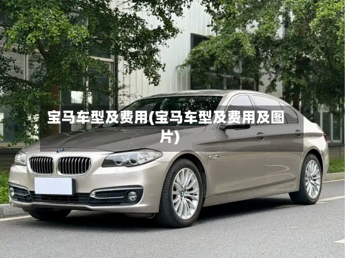 宝马车型及费用(宝马车型及费用及图片)-第3张图片