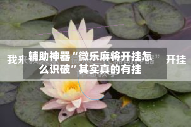 辅助神器“微乐麻将开挂怎么识破	”其实真的有挂-第2张图片