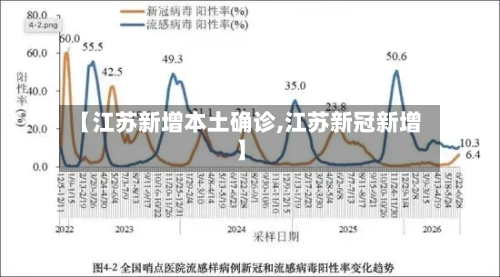 【江苏新增本土确诊,江苏新冠新增】-第3张图片