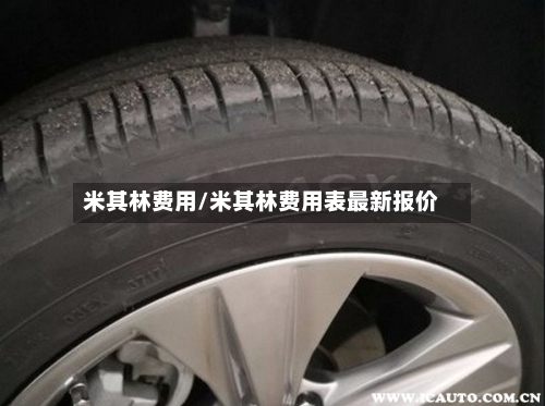 米其林费用/米其林费用表最新报价-第2张图片