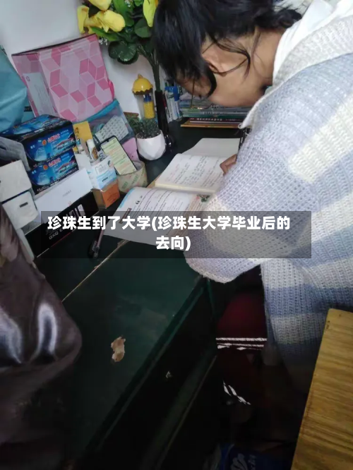 珍珠生到了大学(珍珠生大学毕业后的去向)-第2张图片