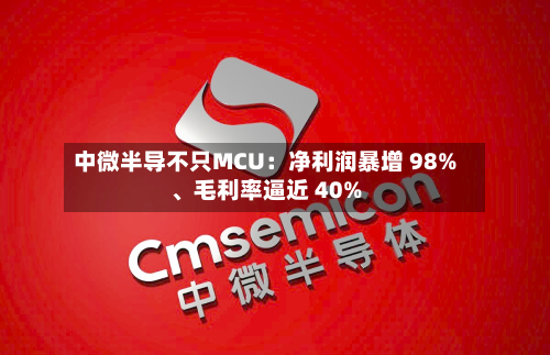 中微半导不只MCU：净利润暴增 98%	、毛利率逼近 40%-第2张图片