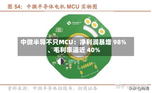 中微半导不只MCU：净利润暴增 98%、毛利率逼近 40%-第3张图片