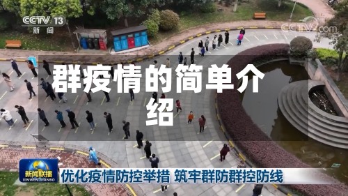 群疫情的简单介绍
