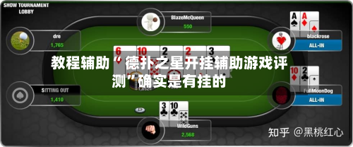 教程辅助“ 德扑之星开挂辅助游戏评测	”确实是有挂的-第2张图片