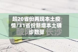 超20省份再现本土疫情/31省份新增本土确诊数量