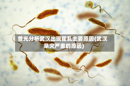 曾光分析武汉出现霍乱主要原因(武汉旱灾严重的原因)