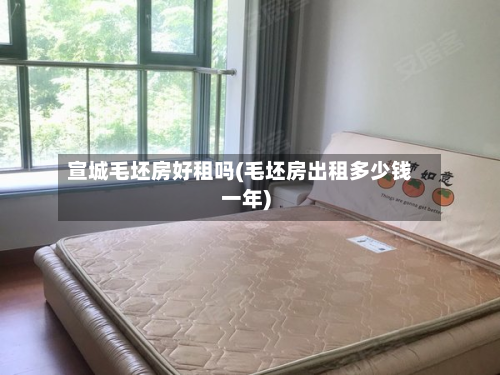 宣城毛坯房好租吗(毛坯房出租多少钱一年)-第2张图片