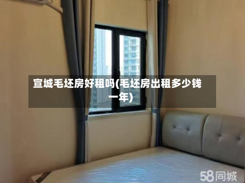 宣城毛坯房好租吗(毛坯房出租多少钱一年)-第3张图片