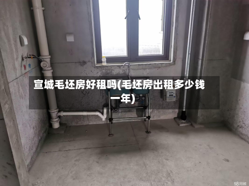 宣城毛坯房好租吗(毛坯房出租多少钱一年)