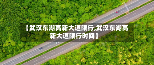 【武汉东湖高新大道限行,武汉东湖高新大道限行时间】-第2张图片
