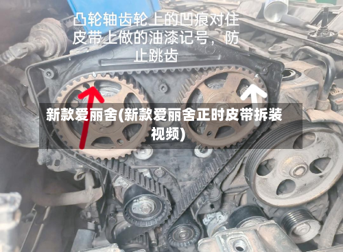 新款爱丽舍(新款爱丽舍正时皮带拆装视频)-第3张图片