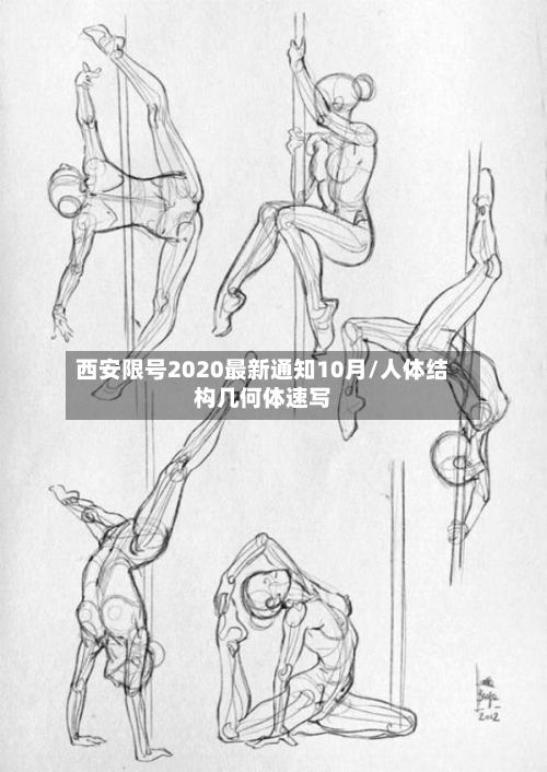 西安限号2020最新通知10月/人体结构几何体速写-第2张图片