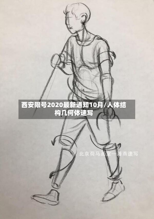 西安限号2020最新通知10月/人体结构几何体速写-第3张图片