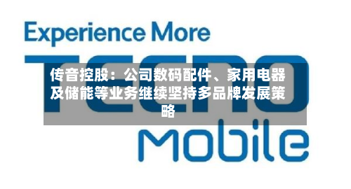 传音控股：公司数码配件、家用电器及储能等业务继续坚持多品牌发展策略-第1张图片